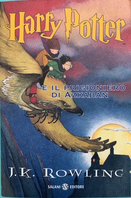 Disegno di Harry Potter e Ron che volano su fierobecco
