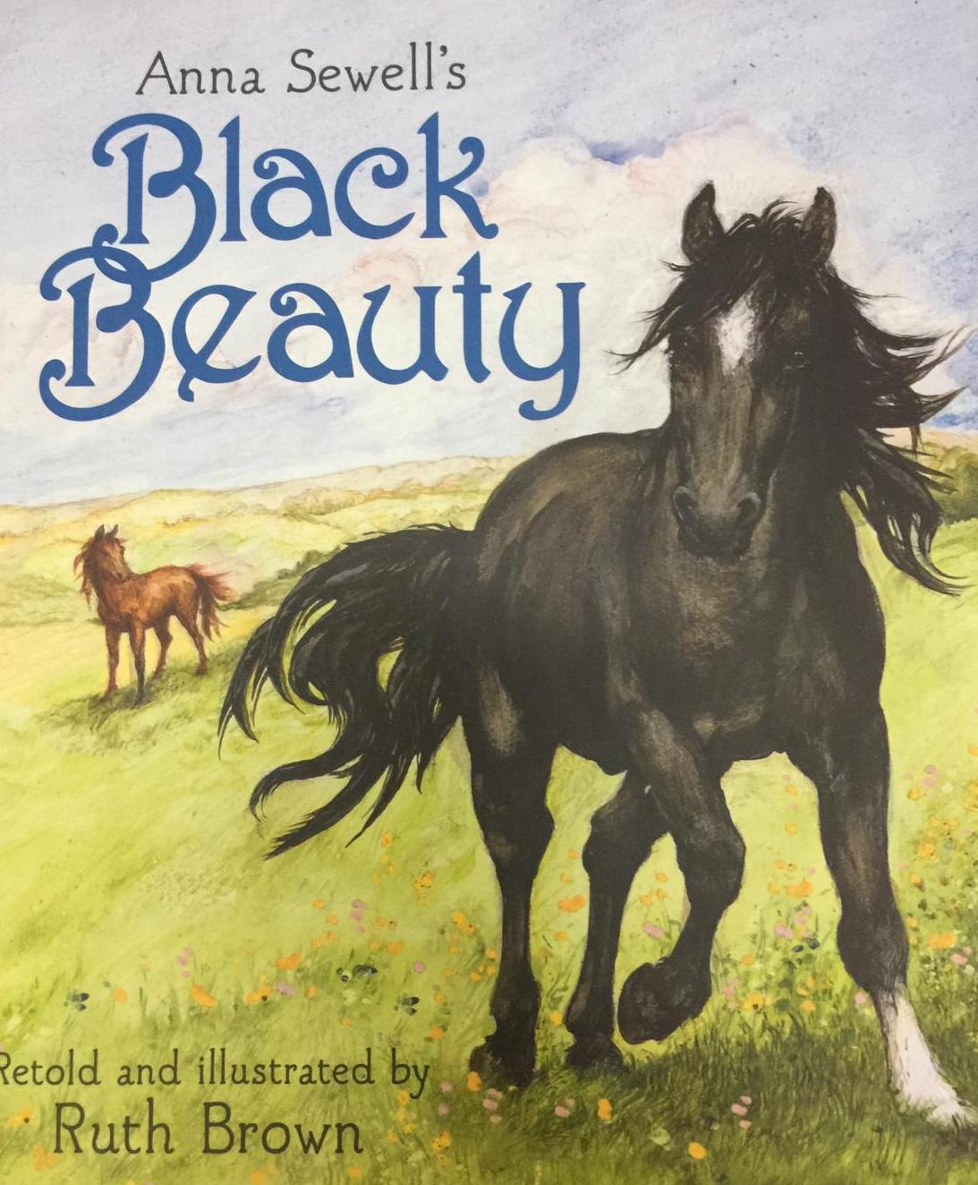 cavallo nero nella prateria