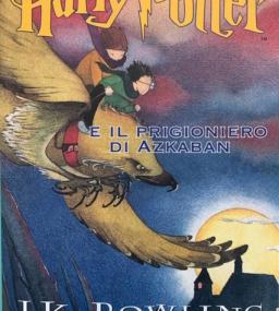 Disegno di Harry Potter e Ron che volano su fierobecco