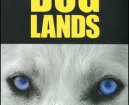 occhi azzurri di un lupo