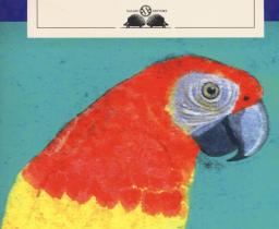 pappagallo rosso giallo e blu