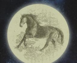 luna piena e al centro un cavallo 